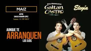 Maíz - Gaitán Castro (Video Lyric)