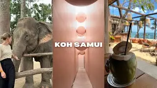 KOH SAMUI VLOG COMPARING IT TO BALI +  my new favorite hotel in Bangkok