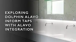Exploring Dolphin Inform Taps with Alavo Integration