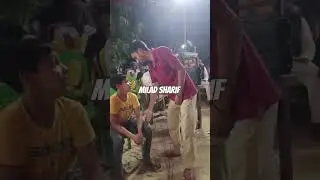 milad sharif