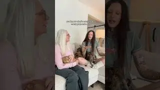 Художники отдают приоритет балансу и фокусным точкам. Я даже не знаю, что вам сказать.