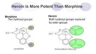 Strong Analgesics