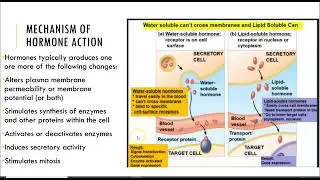 What changes can hormones cause in target cells?