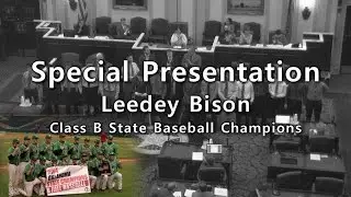The Leedey Bison