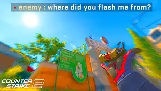 the *SMARTEST* Pop Flash in CS2...