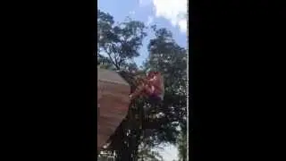 2014 Free Press Summer Fest Fail