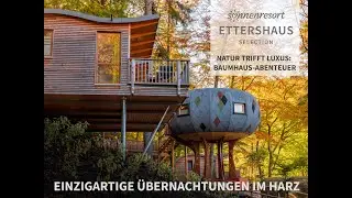 Einzigartige Baumhaus-&Uuml;bernachtungen im Harz | Sonnenresort Ettershaus