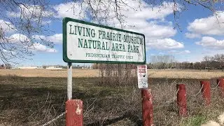 A look at the Living Prairie Museum