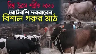 আটরশি দরবারের বিশাল গরুর মাঠ| বিশ্ব উরস শরীফ ২০২৩| আটরশির জিকির