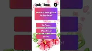 What flower tastes like candy? #quiz #flowers #candy #tulip #rose #quiztime  #sunflower #shorts