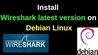 Настройка Wireshark в Debian Linux &mdash; руководство по установке последней стабильной сборки 💻