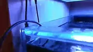 Coral Box QP16 The problem with vibration