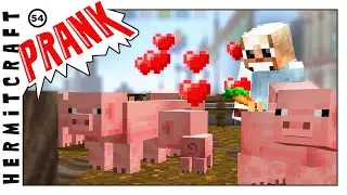 The Pigsty Prank!  :: Hermitcraft #54
