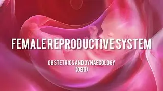 FEMALE REPRODUCTIVE SYSTEM|PART-4|UTERUS| OBG|NURSING ENTRANCE EXAM PREP 