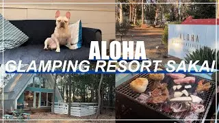 【愛犬と旅行】都心から車で60分！ハワイをテーマにしたALOHA GLAMPING RESORT SAKAIが最高すぎた！！