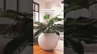 Elevate your home with our diverse range of planters! 🌿✨