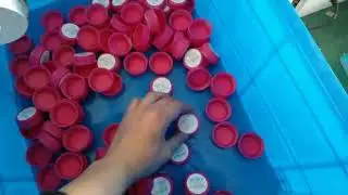 cap lifter and labeling machine from SKILT Mona