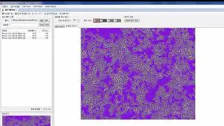 cell confluency
