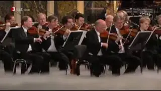 Sommernachtskonzert Sch&ouml;nbrunn 2010 - Star Wars Princess Leia Theme Live