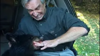 RFK Jr. dumped a dead bear in Central Park