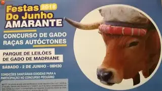 CONCURSO de GADO-Festas do Junho-Amarante-2018