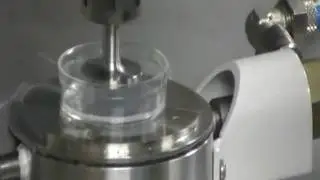 Shear rheometric test on polyacrylamide hydrogels 2