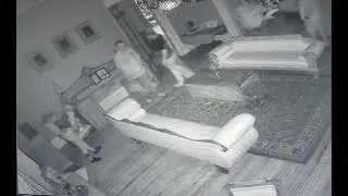 Shadow, the Ghost Cat, Strikes Again at the Sorrel-Weed House