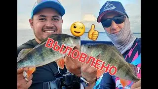 В ПОИСКАХ РЫБЫ часть 2