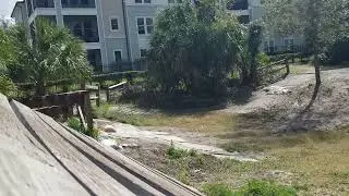 Lake Druid 3rd attempt