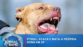 Pitbull ataca e mata a própria dona em São Paulo  | Jornal da Band