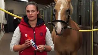 Leovet - Hoof Lab Hoof Hardener