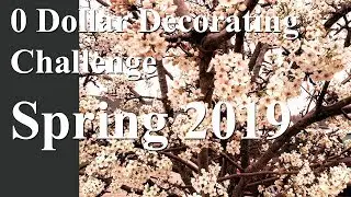 Spring 2019 0 Dollar Decorating Challenge Announcement