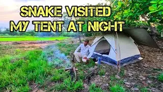 Rice Field Solo Camping | The Snake Visit My Tent At Night - បោះតង់ជួបពស់