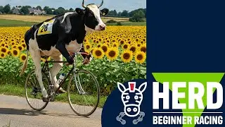 Herd Beginner Racing