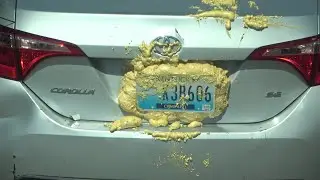 Slapping A License Plate On