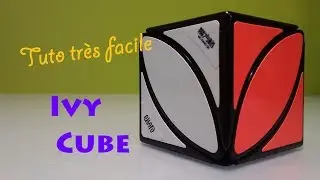 Résoudre le Ivy Cube (tuto très simple)