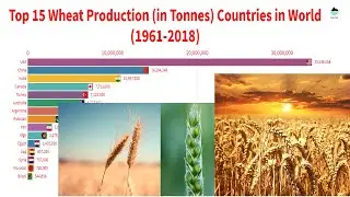 Top 15 Wheat Producing Countries in World ||| Racing Bar Graph