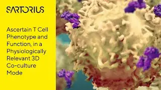 Webinar (Preview): T Cell Characterization in 3D Cell Models using Advanced Flow Cytometry