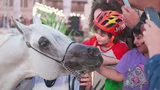 HIGHLIGHTS - DAY 3 - 4th Souq Waqif International Arabian Horse Show 2023 #arabian #horse #souqwaqif