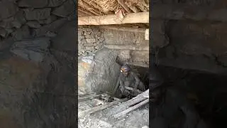 Pulling back mine workers from blackdiamond Mining tunnel from 2000 meter underground #mining