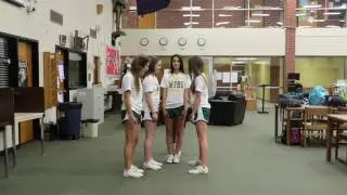 Stunt Safety Final