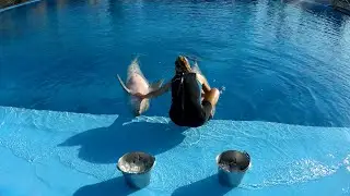 MundoMar Benidorm Spain