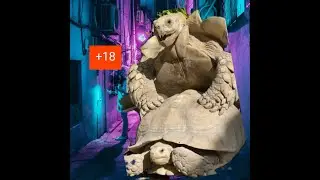 2021 turtle mating___sexxx