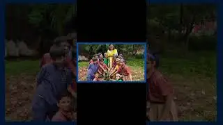 St. Xavier's High School, Kashigaon organized a Plantation Drive. #xavier #school #viral #ytshorts