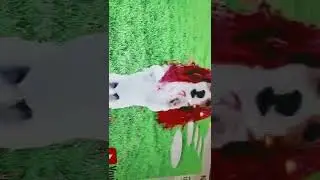 SMART DOG DANCING