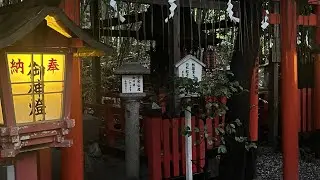 summer in japan 🫧 