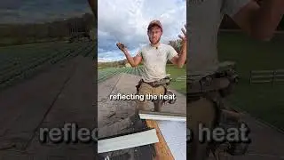 Save 50% On Utility Bill w/ Metal Roof