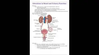 nr 507 nr507 advanced pathophysiology week 4 study guide rated a latest chamberlaine college