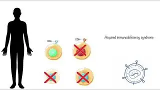 AIDS (l11) | Human Health & Disease | NEET Biology | NCERT Based