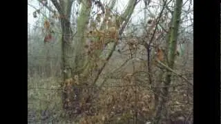 parco Osellino Pertini Mestre